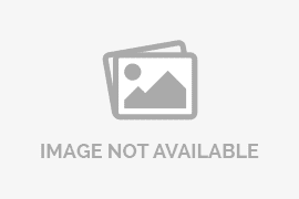 NBA Property 5