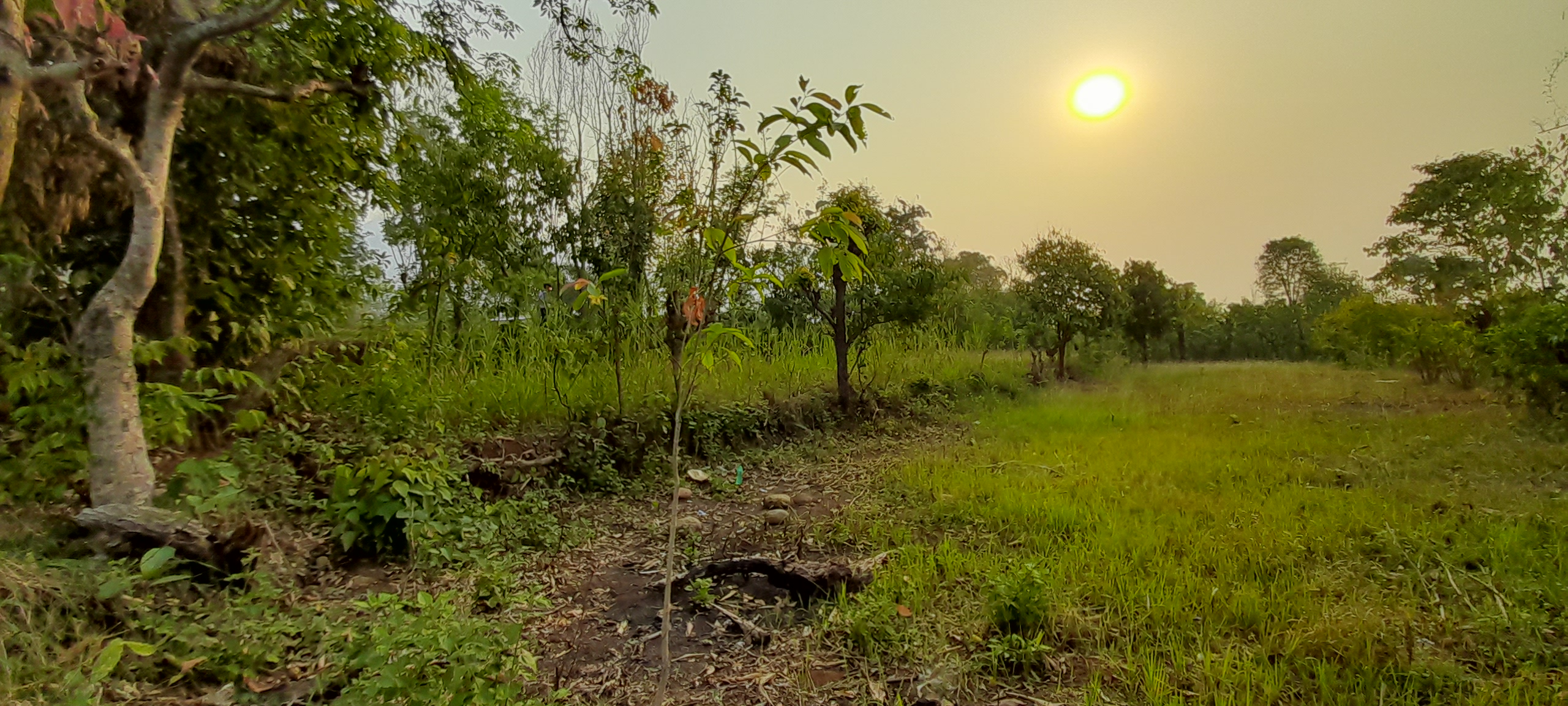 Land - Image 1