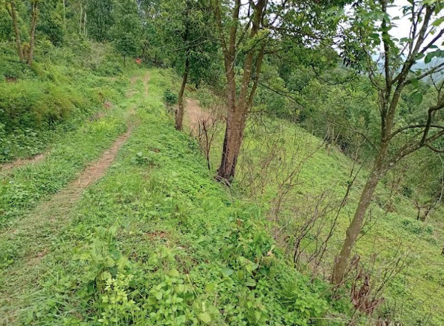 NBA Property-14 Gandaki Province - Image 1