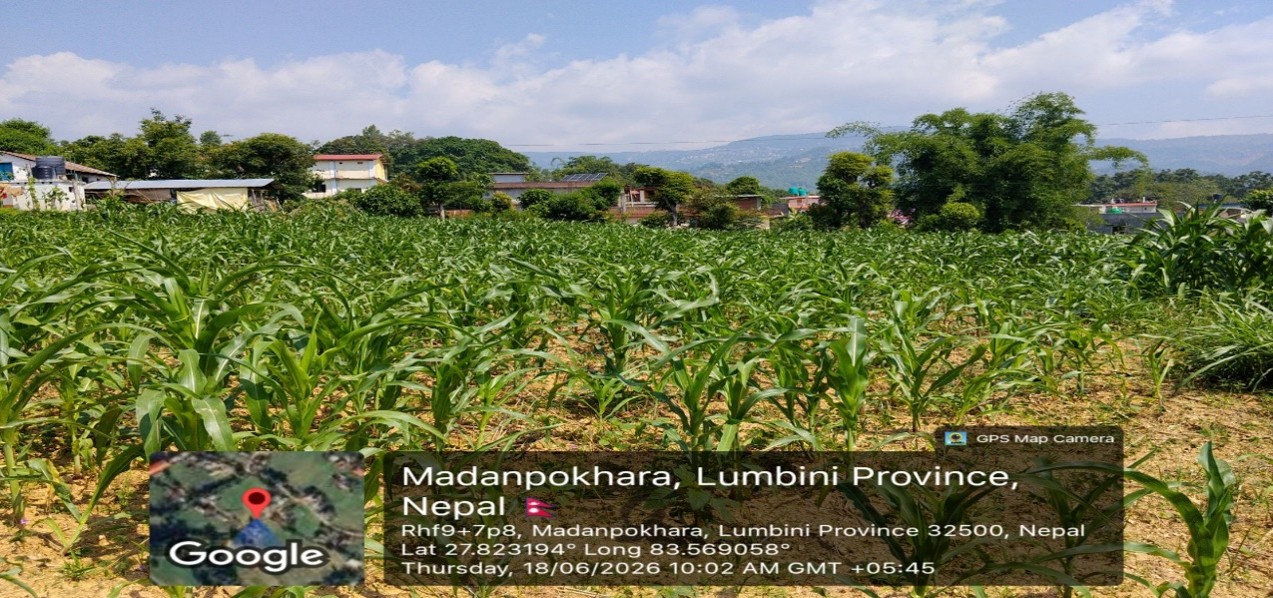 NBA Property -19 Lumbini Province - Image 1