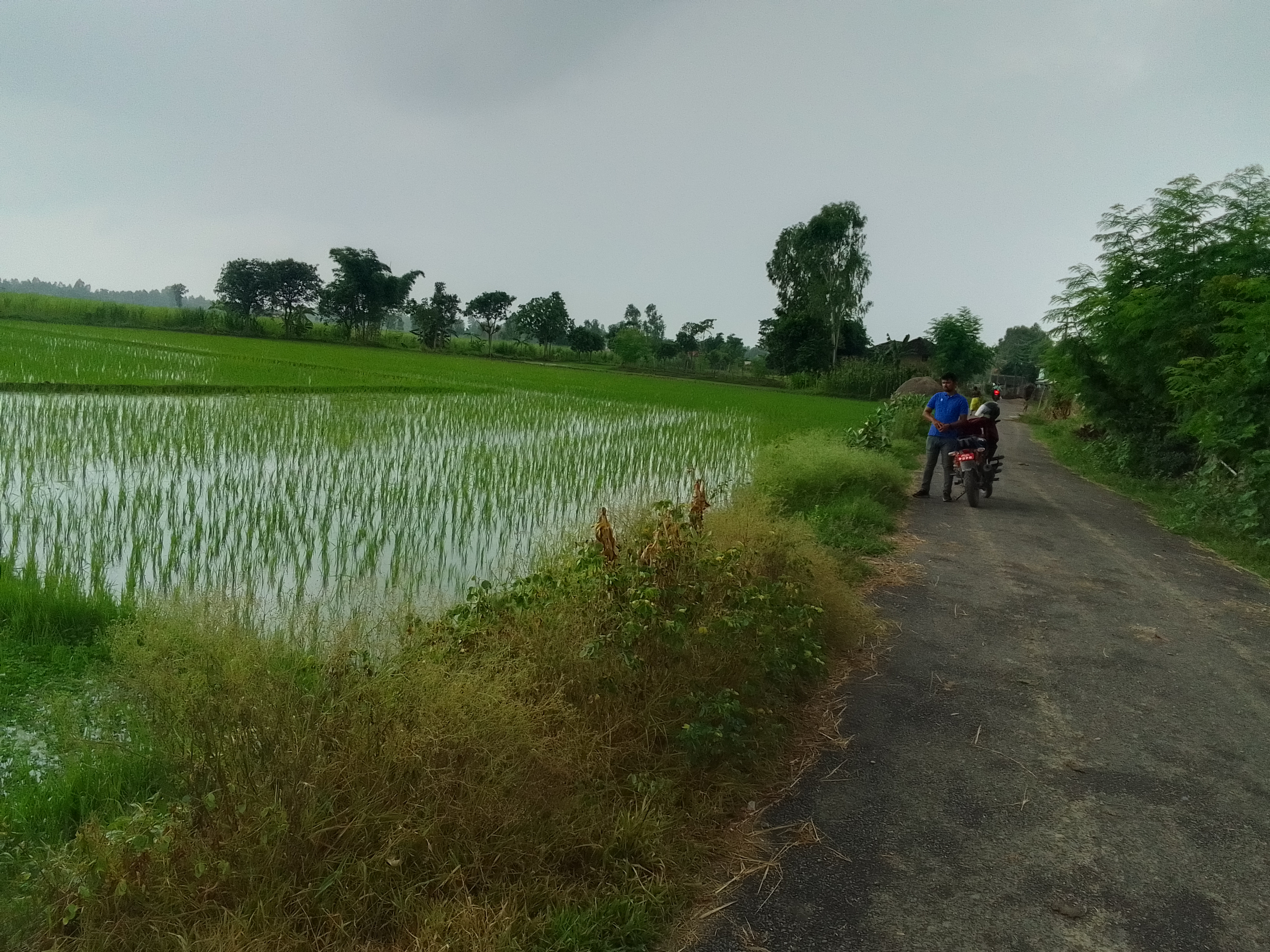 NBA Property- 29 Madesh Province - Image 1