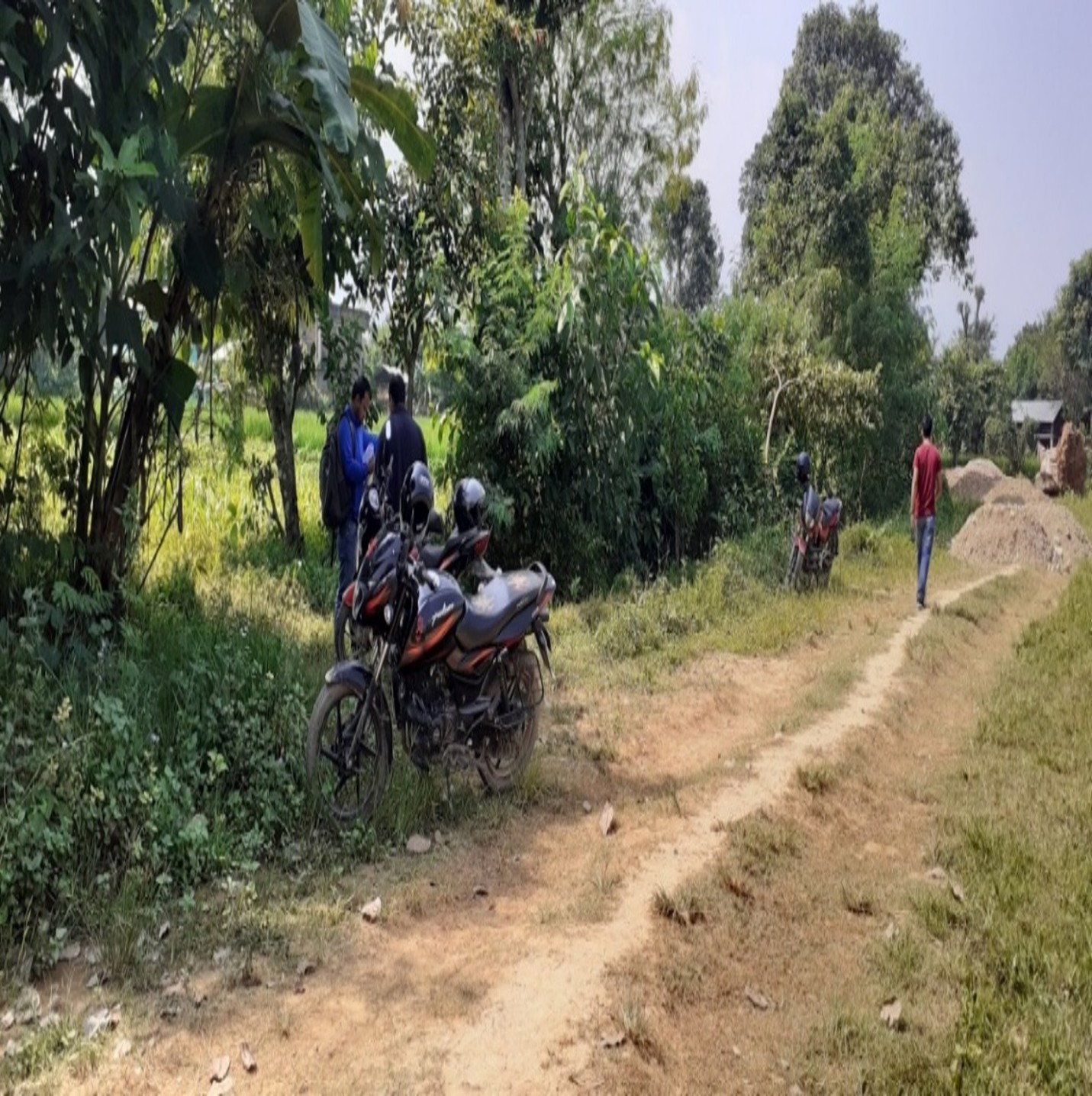 NBA Property - 52 Lumbini Province - Image 1